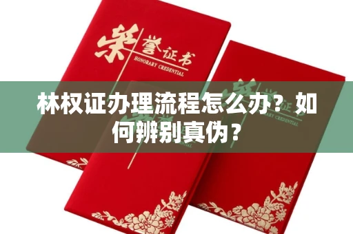 全国林权证办理流程怎么办？如何辨别真伪？