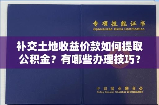 全国补交土地收益价款如何提取公积金?有哪些办理技巧?