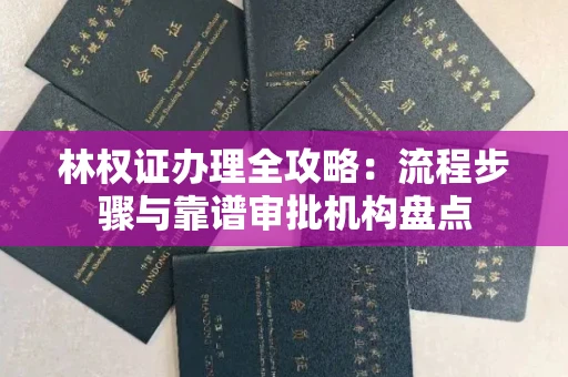 全国林权证办理全攻略:流程步骤与靠谱审批机构盘点